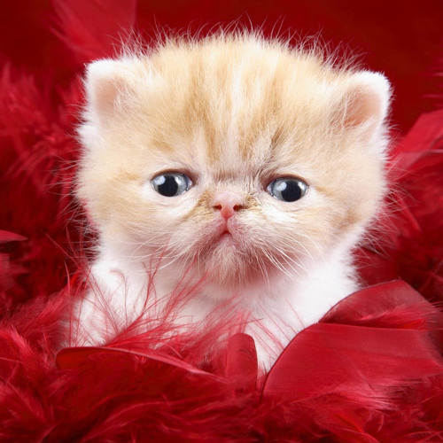 HipHop Dance Remix 2011