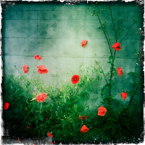 Matthias Delay - Honey Hush feat. Albert Tempel