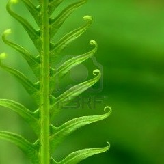 hidden turn - can't stop (clip)