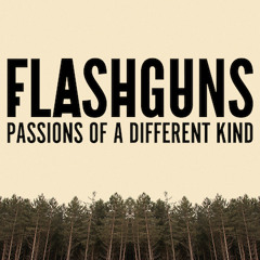 Flashguns - Racing Race