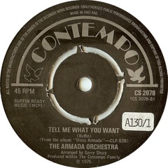 The Armada Orchestra ''Tell Me What You Want'' (Demo) SNC-0019-AS