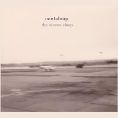 Cantaloup