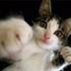 Tatu - Not Gonna Get Us Remake By Lykomedos