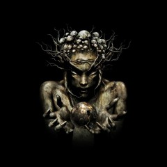 Infected Mushroom