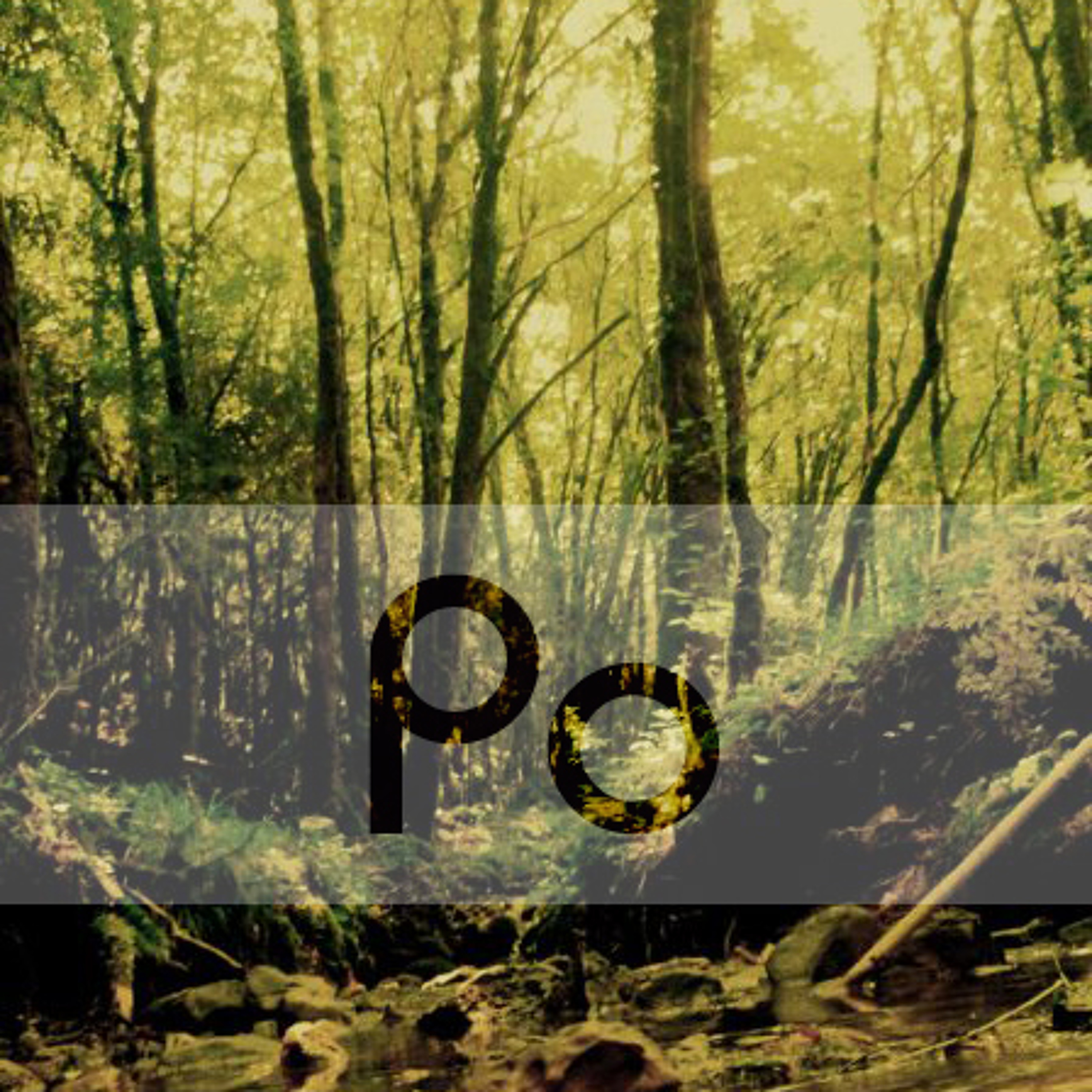 Polln - Oracle episode artwork