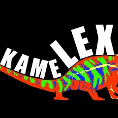 kameLEX - 대구빡