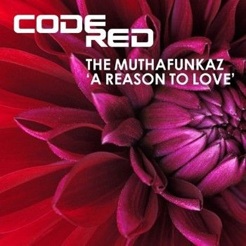 DJ Spen & The Muthafunkaz - A Reason To Love-Dimitri From Paris Is Night Dubbin' (snippet)