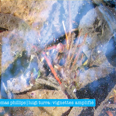 Tomas Phillips+Luigi Turra -  Vignette I [excerpts]