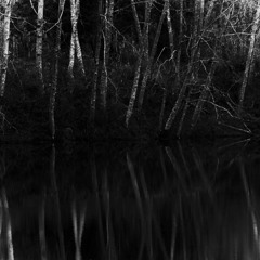 Mix for Made Like A Tree