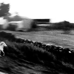 Ultimul tren din stânga fără mine