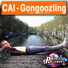 CAI - Gongoozling
