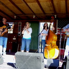 Lady Mule Skinner Blues