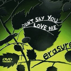 Erasure - Don't Say You Love Me (Yisraelee Mix)