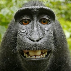 bAlls-deep hoOks and baby-making basslines