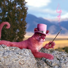 MRiLLest-Pink Panther (Fresh Mix)