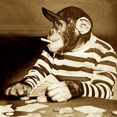 *Monkey Hussle*