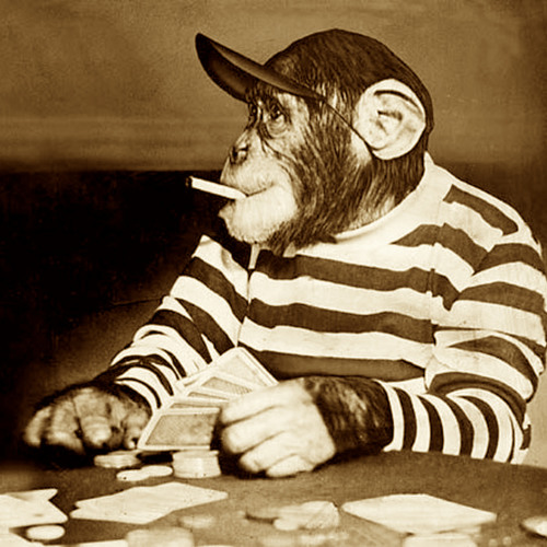 *Monkey Hussle*