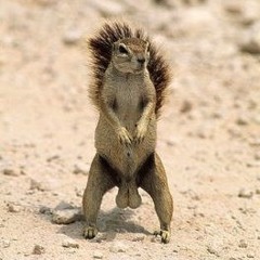 Cojones [La Palabra Mas Usada]