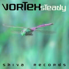 Vortex - Steady - SHIVA051