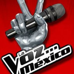 Alejandro Sanz y Mario Domm - la voz mexico