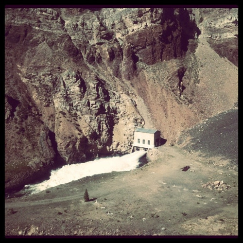 Live Fast, Die Young