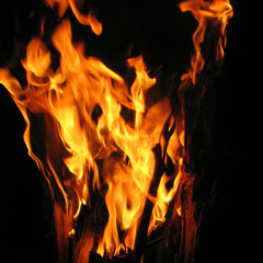 Burning Hot Desires
