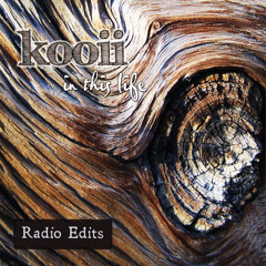 Preparations (radio edit)