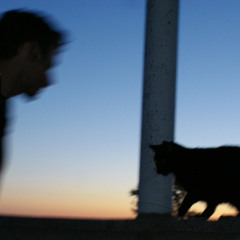 Remembrances of a premonition