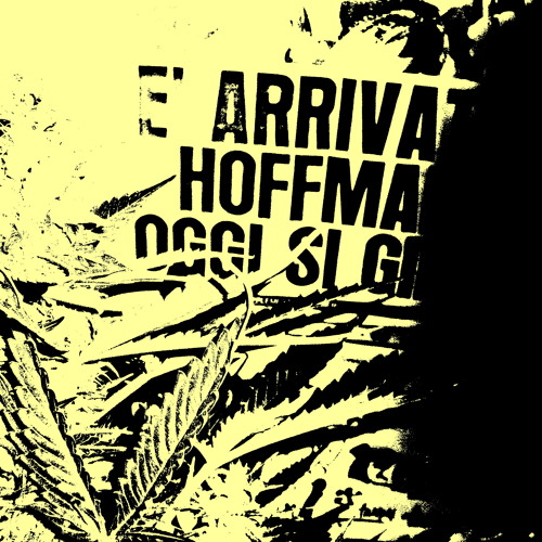 Hoffitek