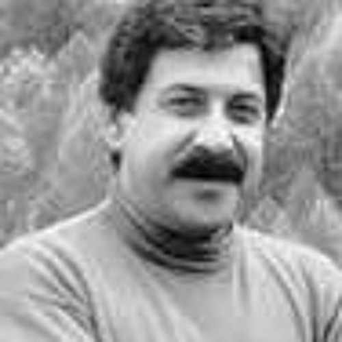 معرفی-شیون فومنی