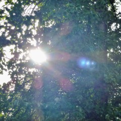 Beautiful and Cruel/We Are Gonna Be Friends (Original+Cover Extrordinaire!)