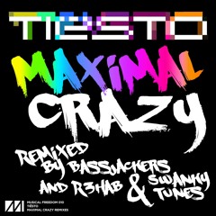 Tiesto - Maximal Crazy (Bassjackers remix) (preview)