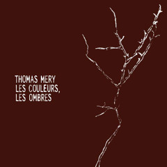 Thomas Mery - Aux immenses fenêtres