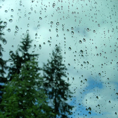 Lluvia y truenos / Rain and thunder