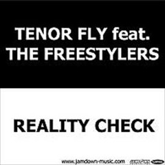 Freestylers Ft Tenor Fly "Reality check" -Fireworkz Official Remix-