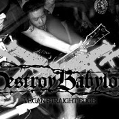 XDESTROY BABYLONX - Destroy Babylon