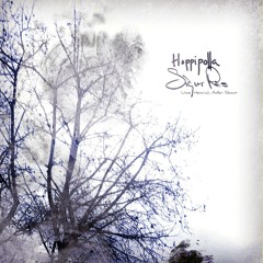 Sigur Rós - Hoppípolla (Uwe Heinrich Adler Remix)