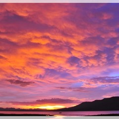 Hard to say i am sorry.