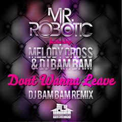 Mr.Robotic feat. Melody Cross & DJ Bam Bam - Dont Wanna Leave (DJ Bam Bam Remix) [PREVIEW]