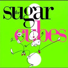BIRTHDAY ( The Sugarcubes cover )