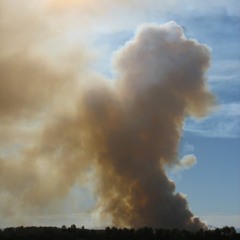 Brown leaves & Bloody Noses