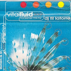 Vital Fluid (mixtape circa 1996)