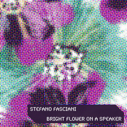 Stefano Fasciani - Bright Flower On A Speaker