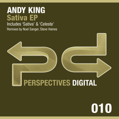 [PSDI 010] Andy King - Celeste (Original Mix) - [Perspectives Digital]