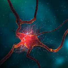 Biofeedback & Roka - Neural Stunners