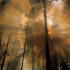 The Forest-(Snow's Piano Track)