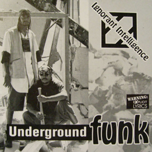 Ignorant Intelligence - Next Shitt