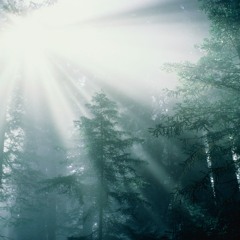 Desolate Tranquility