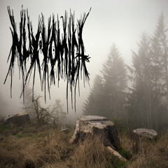 NUX VOMICA - Embrace the Cycles