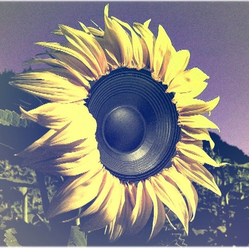 Kruisemode - Flowers